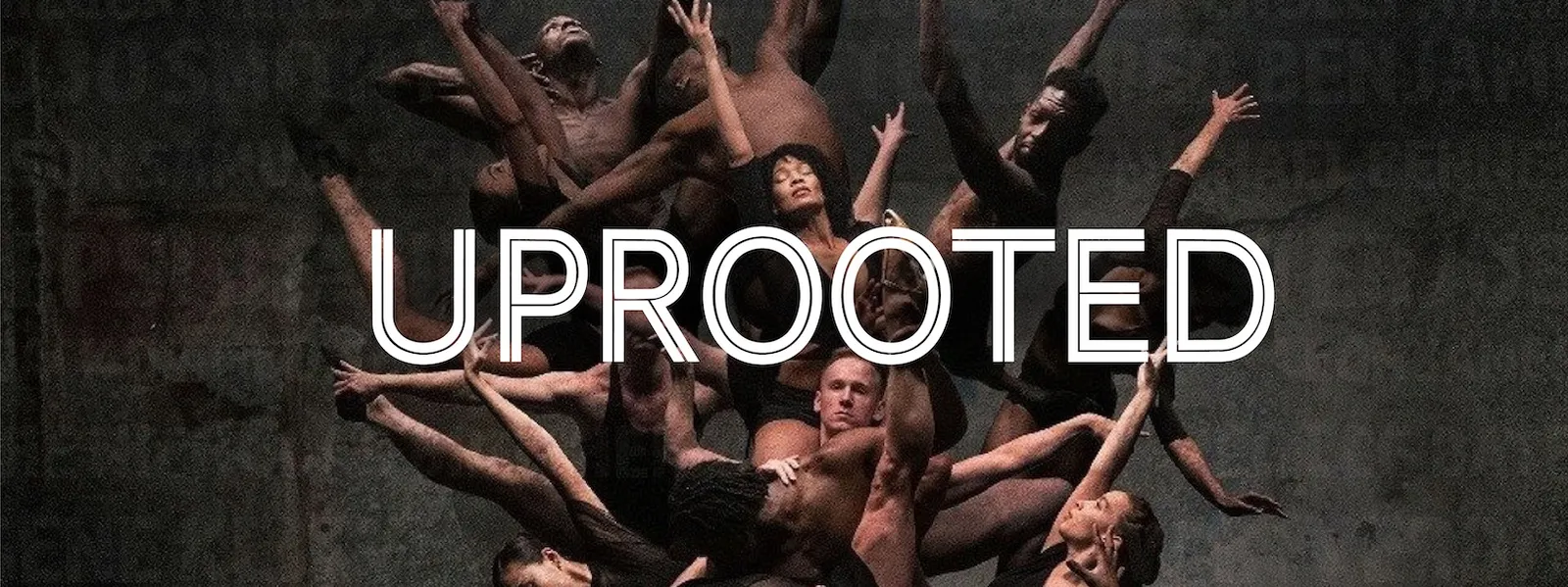 uprrooted poster