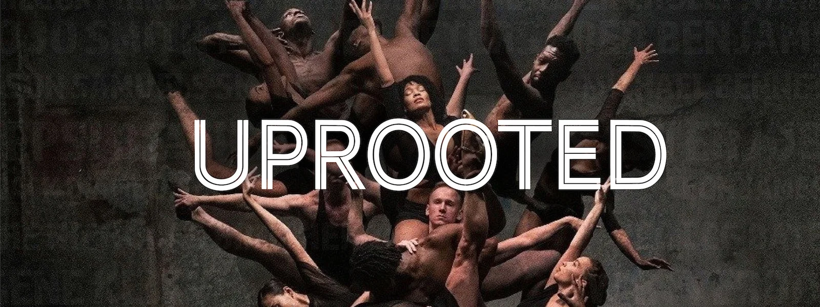 uprrooted poster